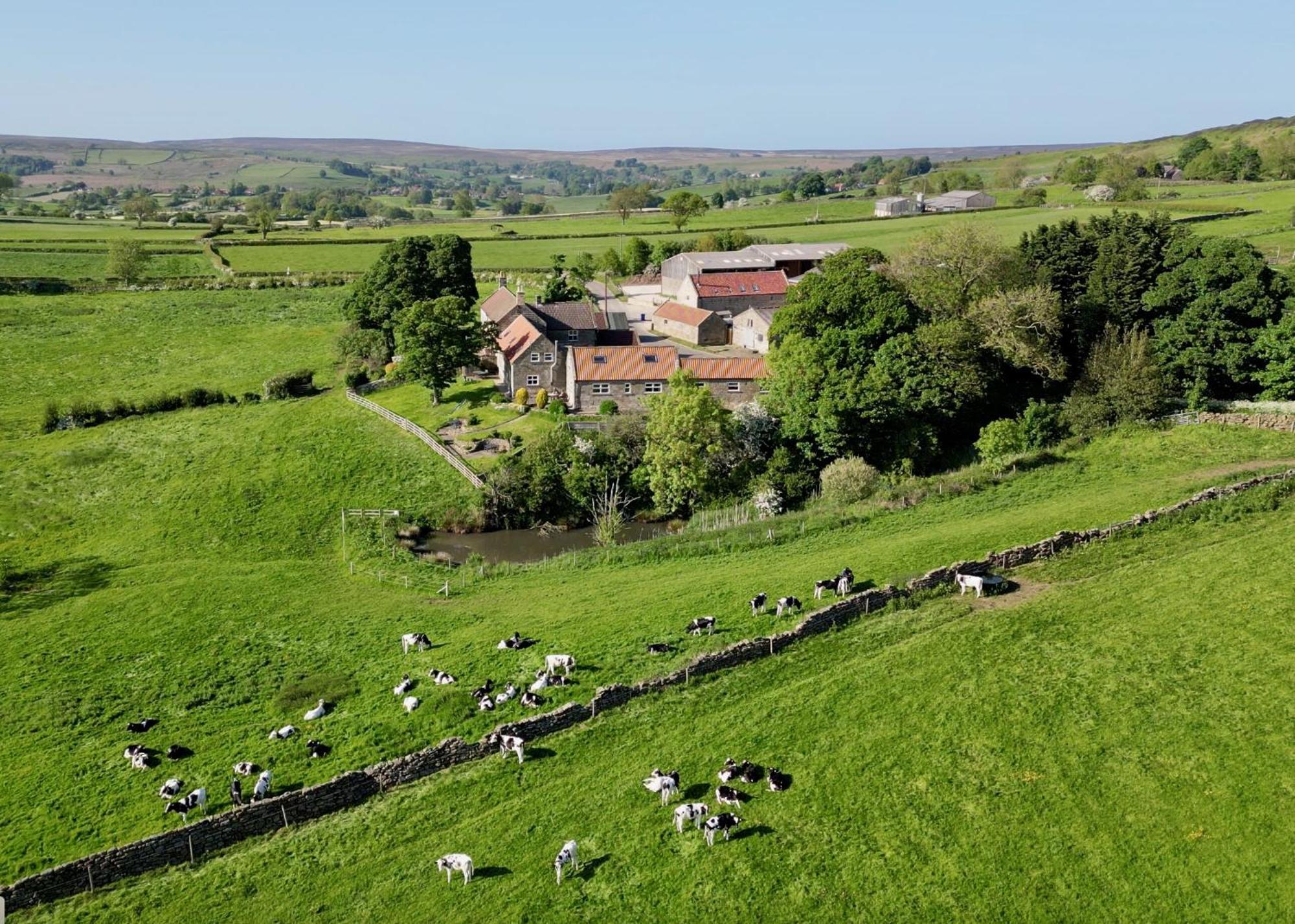 Church House Farm Danby Εξωτερικό φωτογραφία