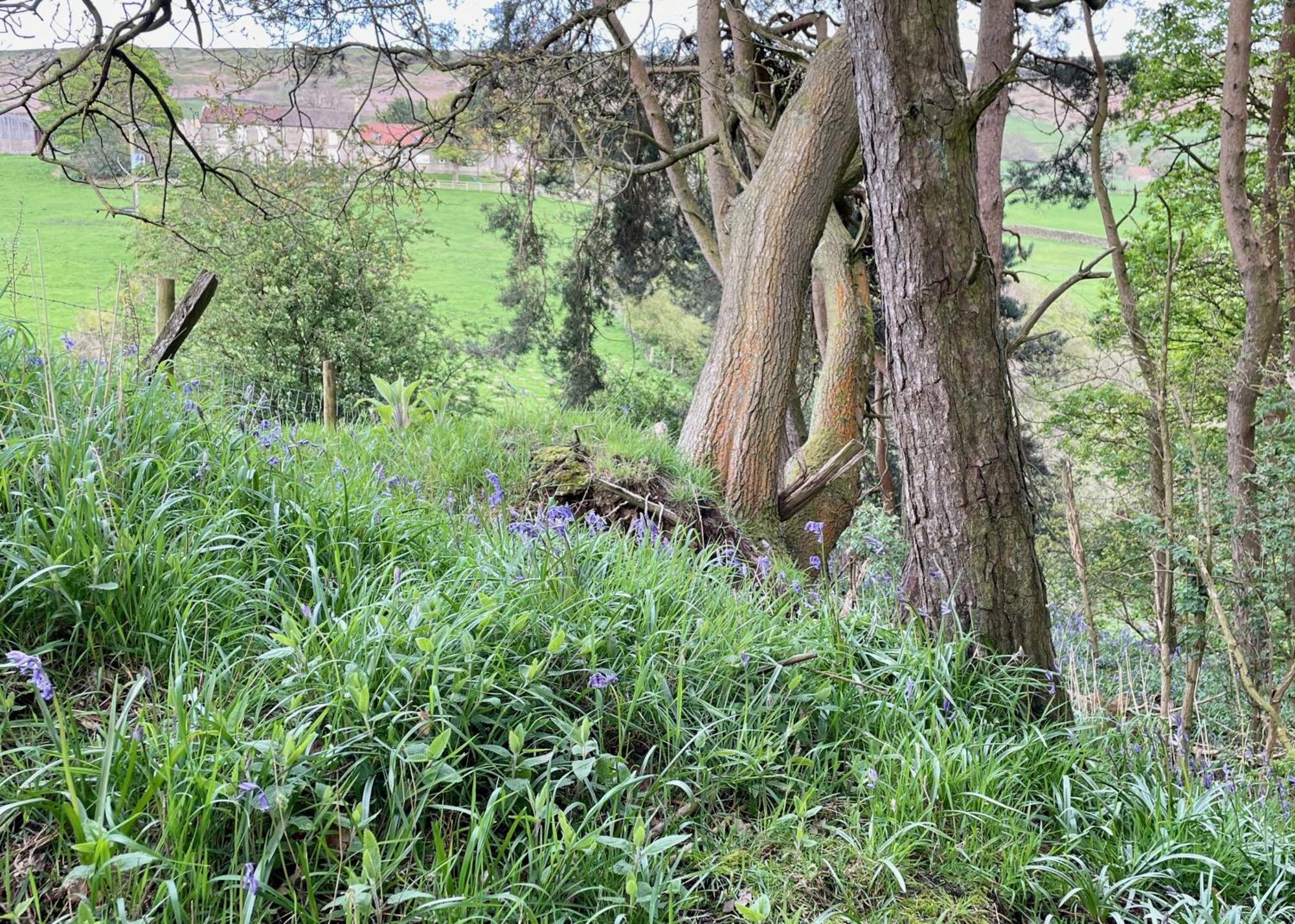 Church House Farm Danby Εξωτερικό φωτογραφία
