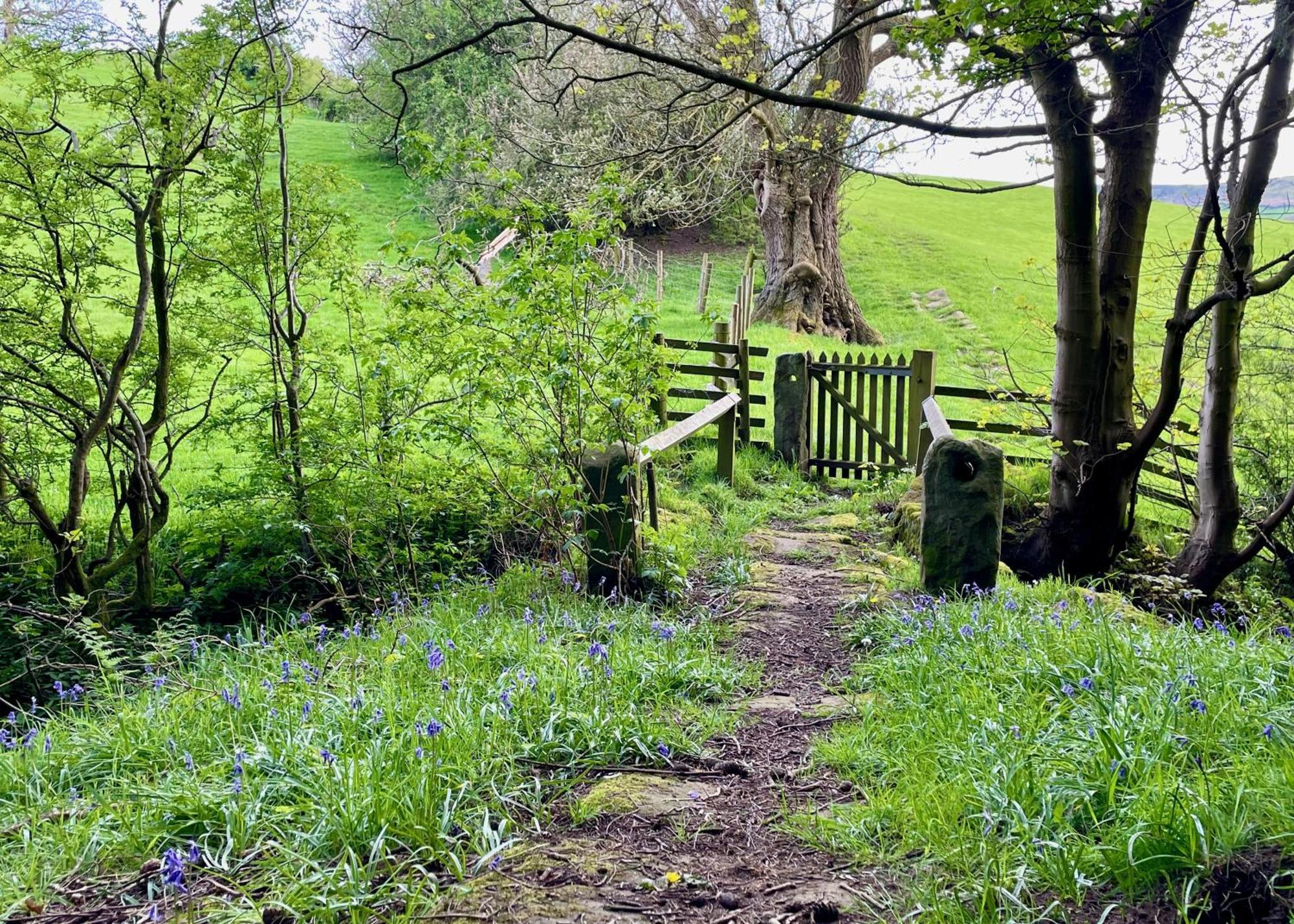 Church House Farm Danby Εξωτερικό φωτογραφία